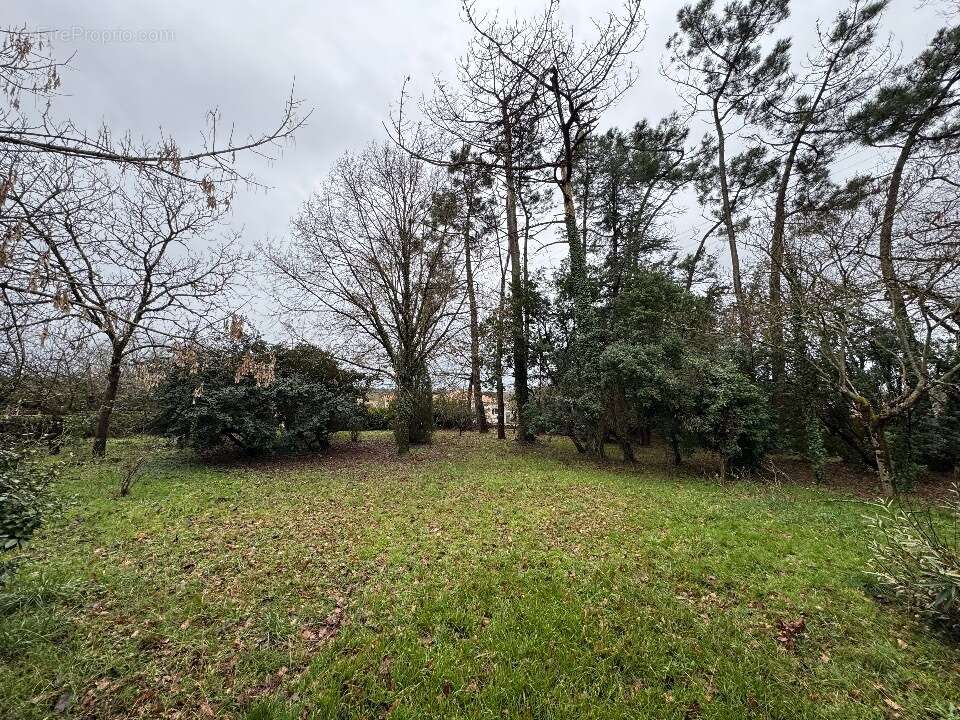 Terrain à LE TAILLAN-MEDOC