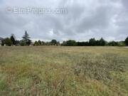 Terrain à SAINT-MARTORY