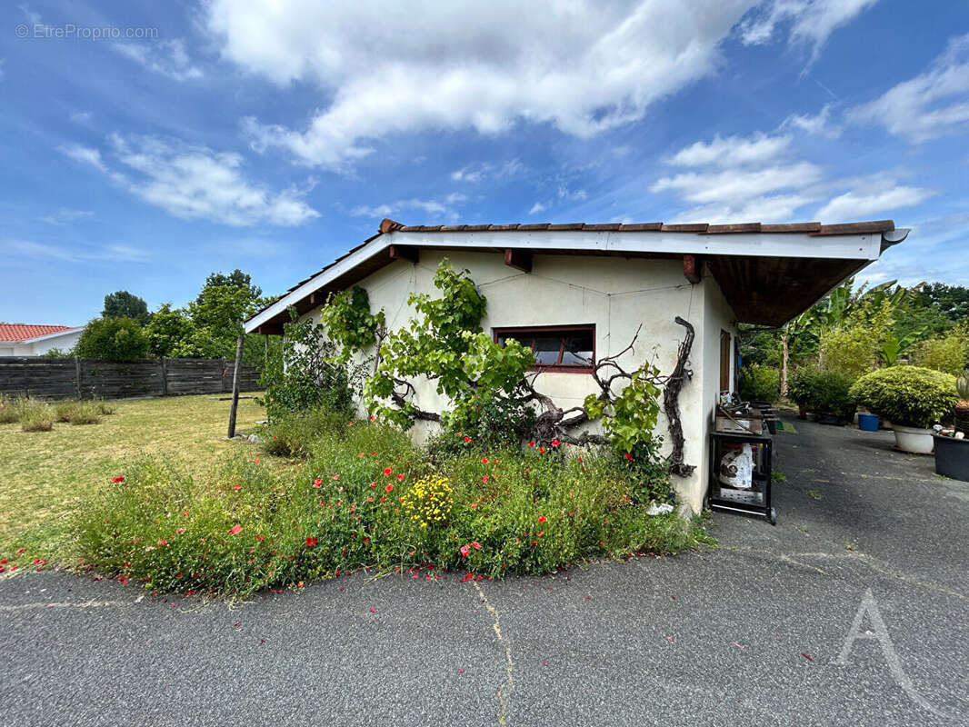 Maison à TOSSE