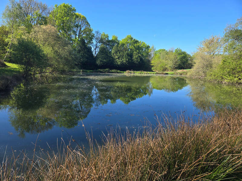 Terrain à SAINT-YRIEIX-SOUS-AIXE