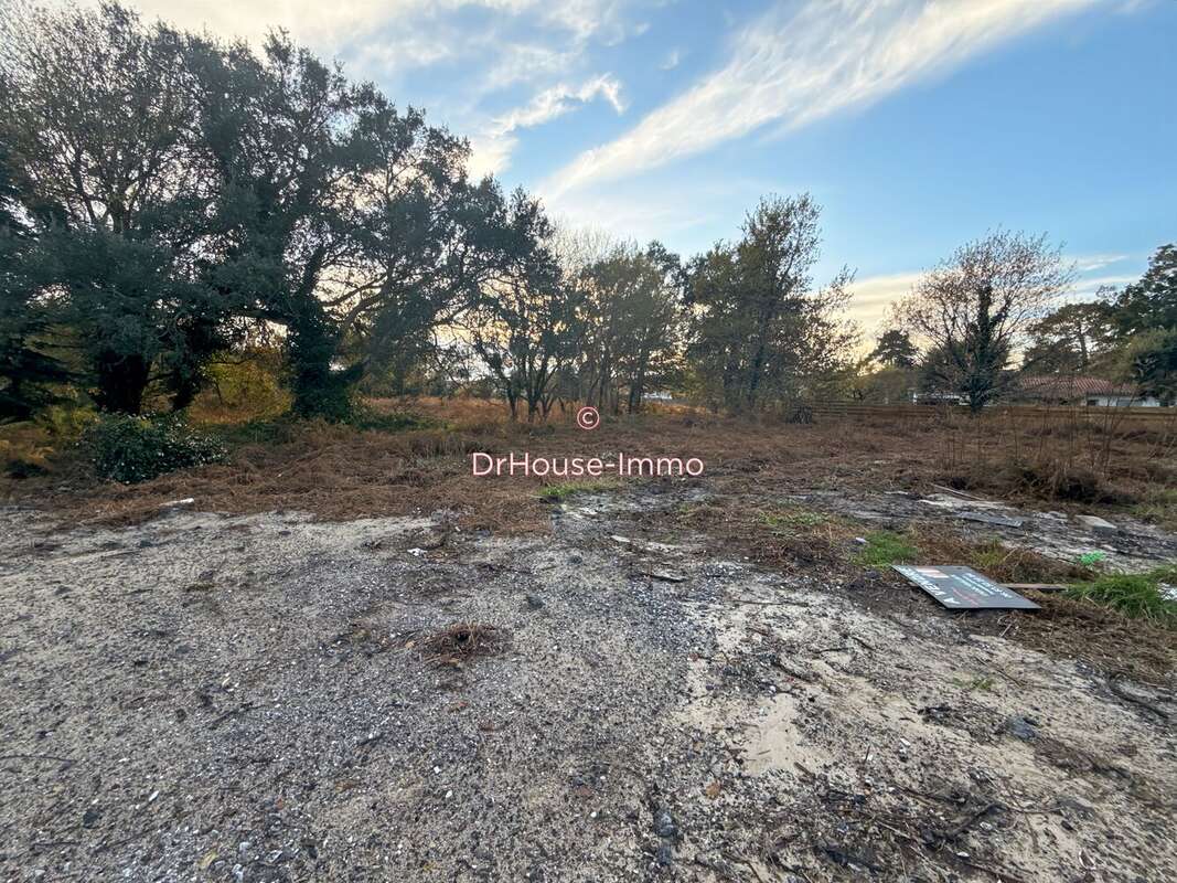 Terrain à MESSANGES