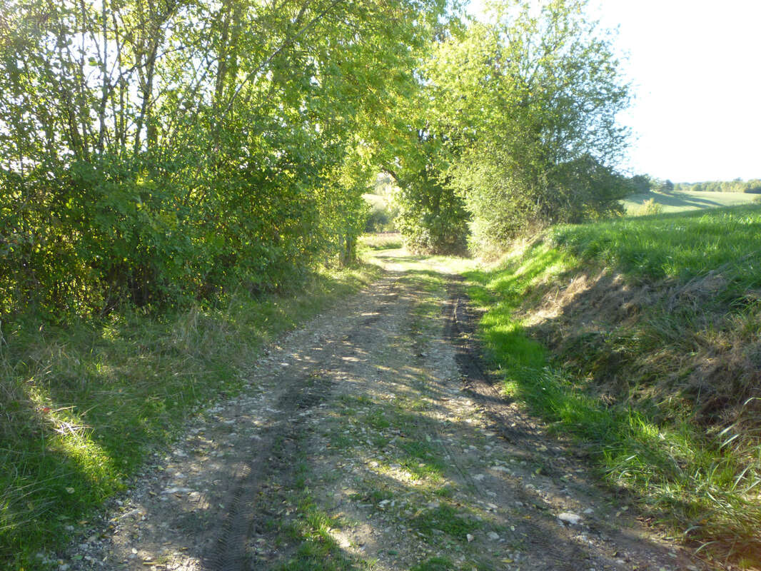Terrain de loisir - photo 7