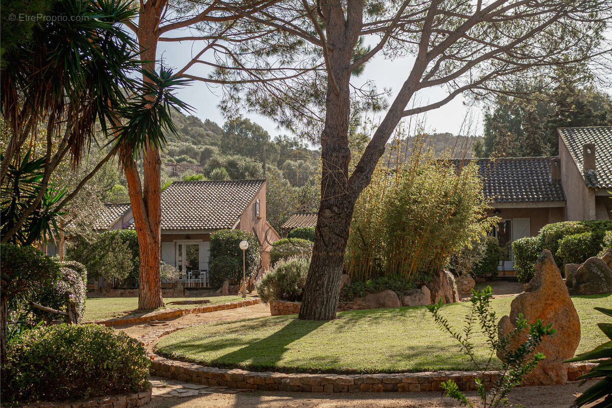 Maison à PORTO-VECCHIO