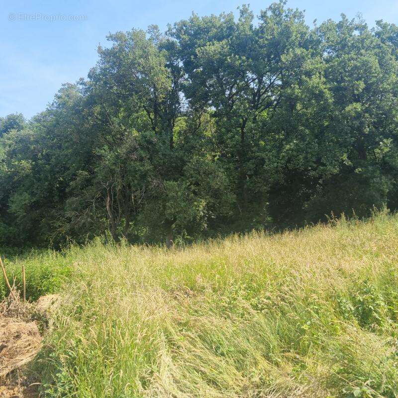 Terrain à SEREZIN-DU-RHONE
