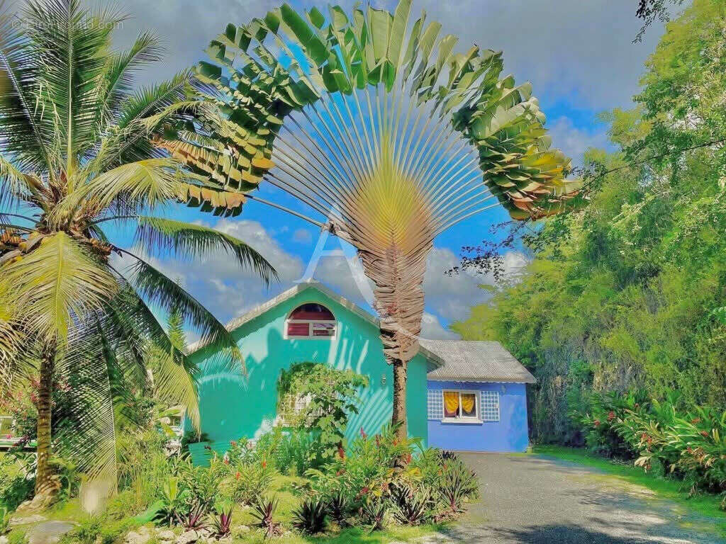 Maison à LE GOSIER