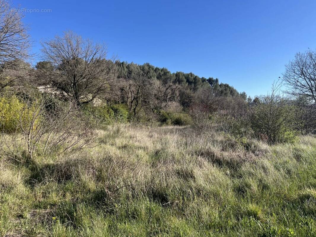 Terrain à LAURIS