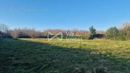 Terrain 882 m² à Castelsarrasin  - photo 3