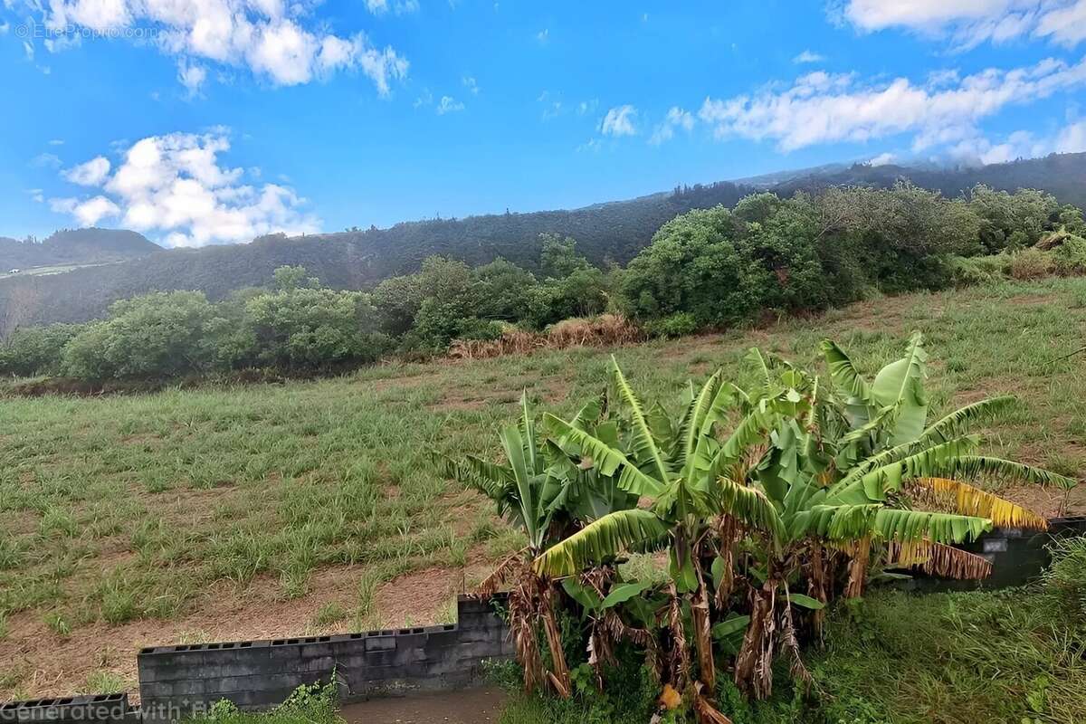 Maison à SAINT-JOSEPH