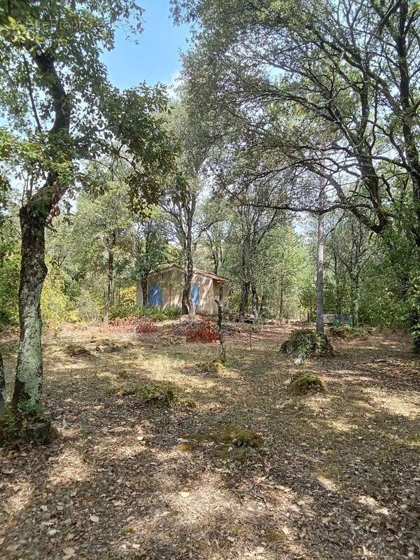 Très beau terrain constructible plein sud. - photo 5
