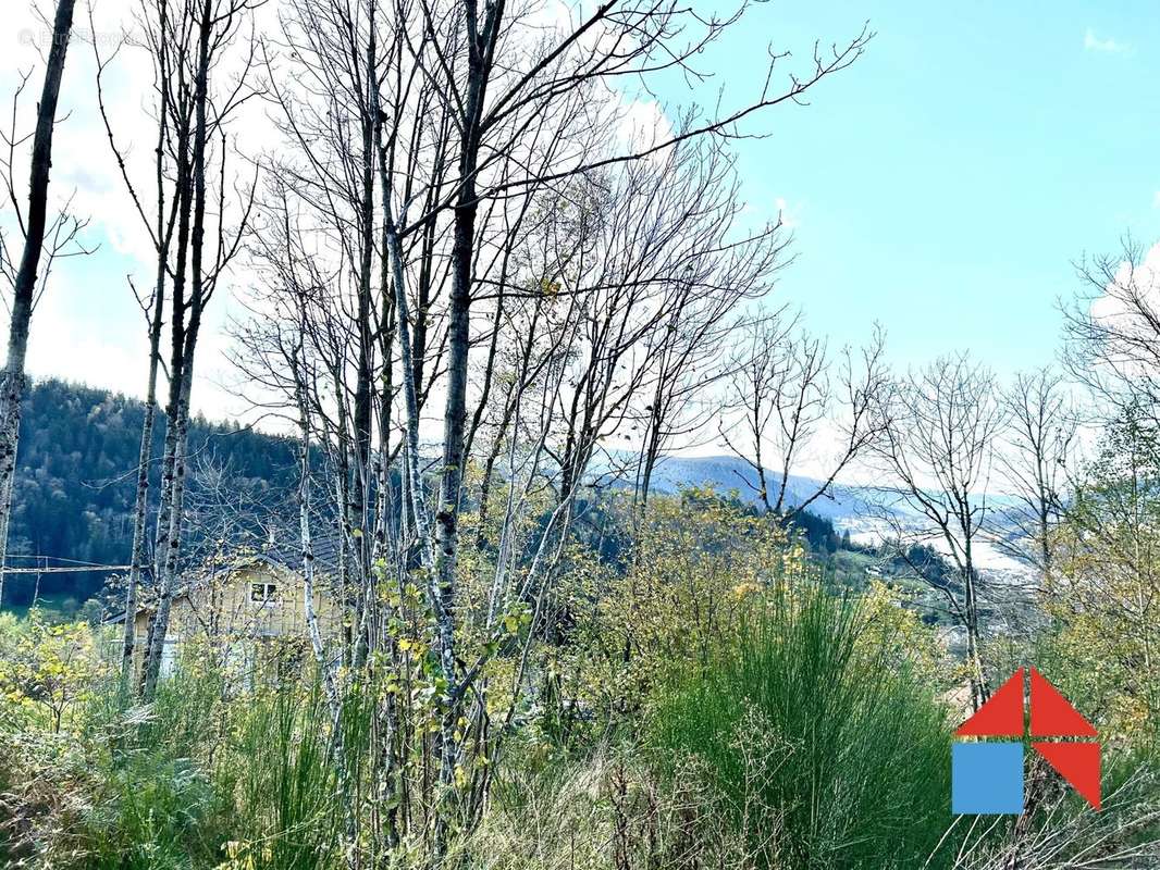 Terrain à GERARDMER