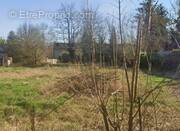 Terrain à TERMINIERS