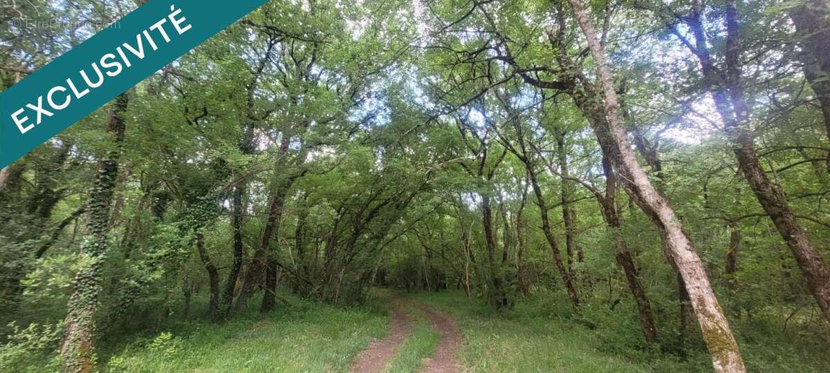 Photo 2 - Terrain à BENON