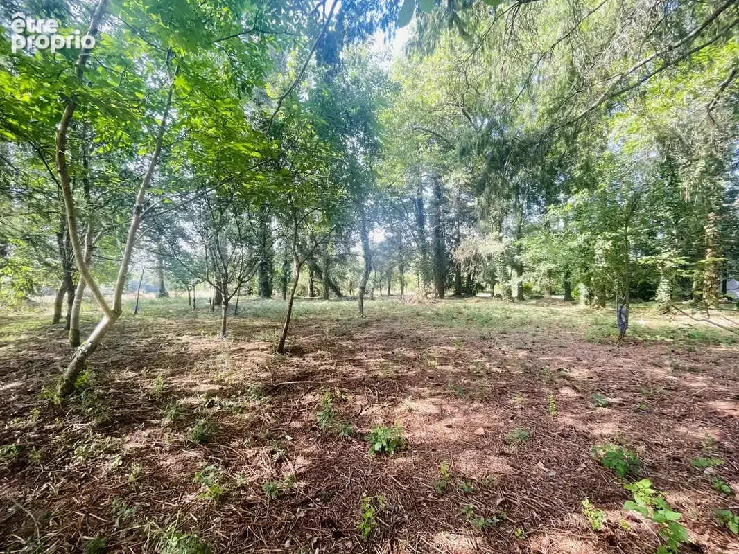 Maison 6 pièces 152 m² à vendre à Chirac (16150) - photo 3