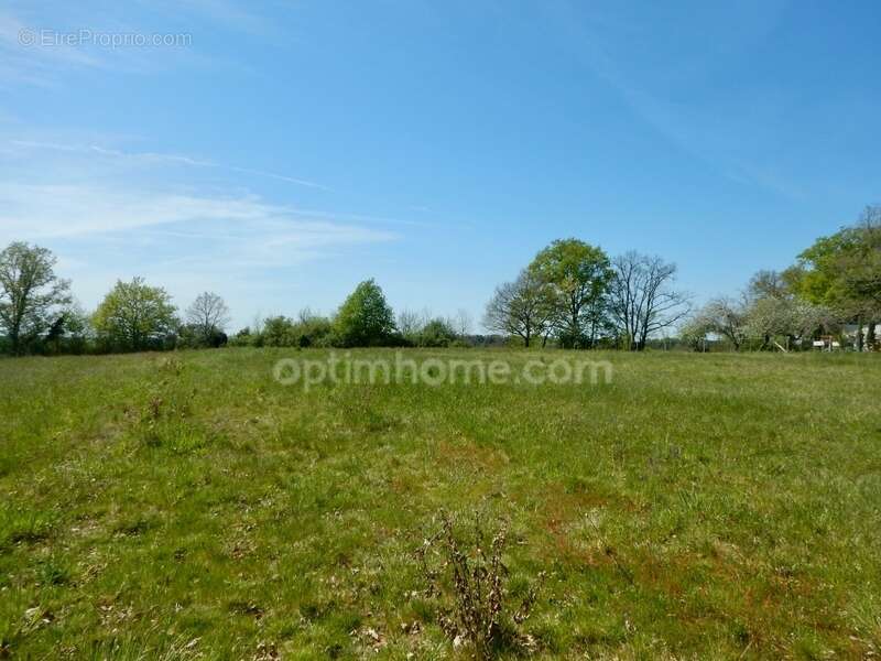 Terrain à BASSILLAC