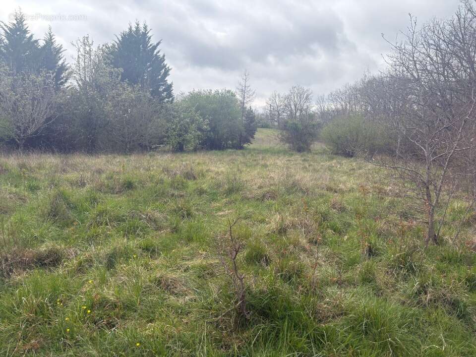 Terrain à BESSIERES