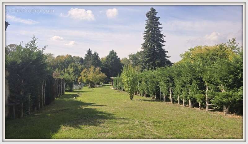 Maison à NEUVILLE-SUR-OISE