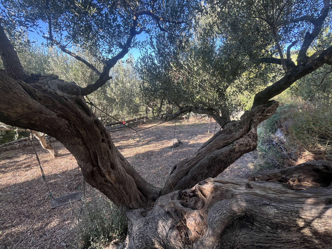 Maison à LE REVEST-LES-EAUX