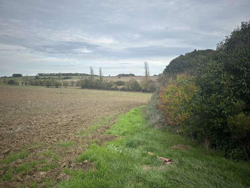 Maison 91 m² à Montignac-De-Lauzun  - photo 3