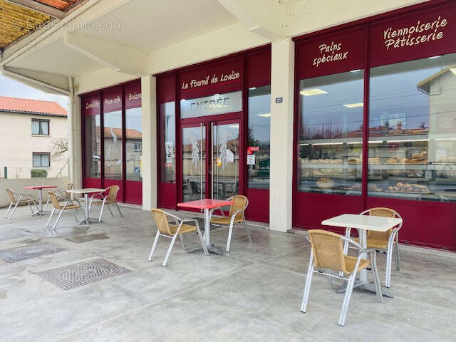 Commerce à LAROQUE-D'OLMES