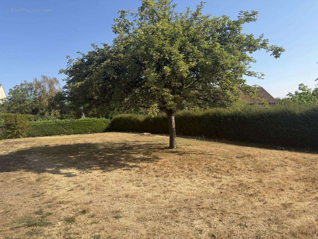 À vendre – mamers (72600) – pavillon rénové avec parc arboré de 3 300 m² - photo 12