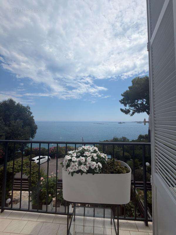 Maison Jumelée Cannes Californie vue mer - photo 12