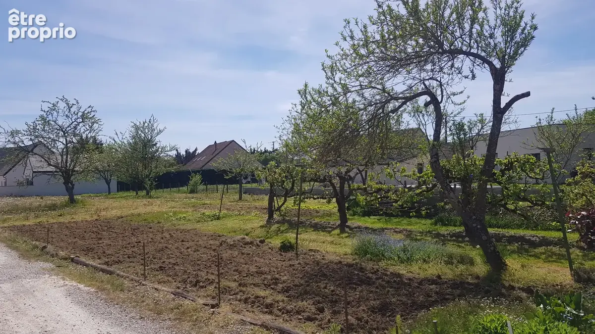 Terrain 888 m² · à Gergy · 58 300 €