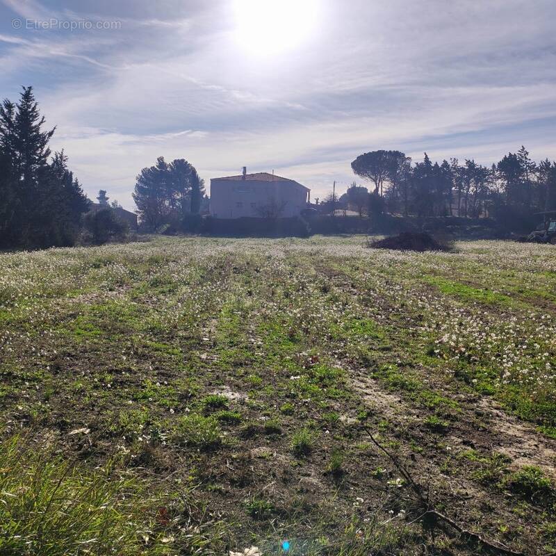 Terrain à MOUSSAN