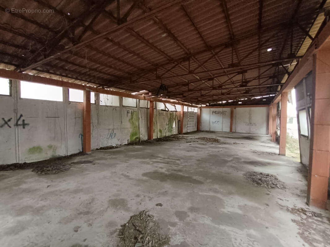 Commerce à CARCASSONNE