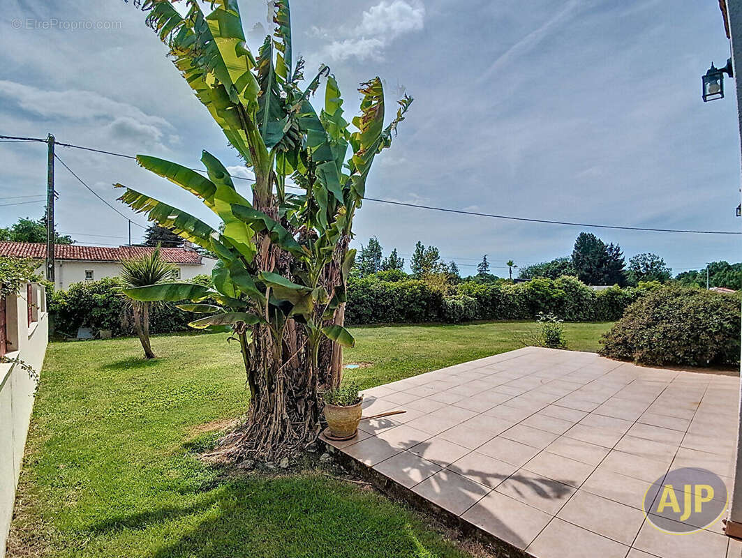 Maison à VIEILLEVIGNE