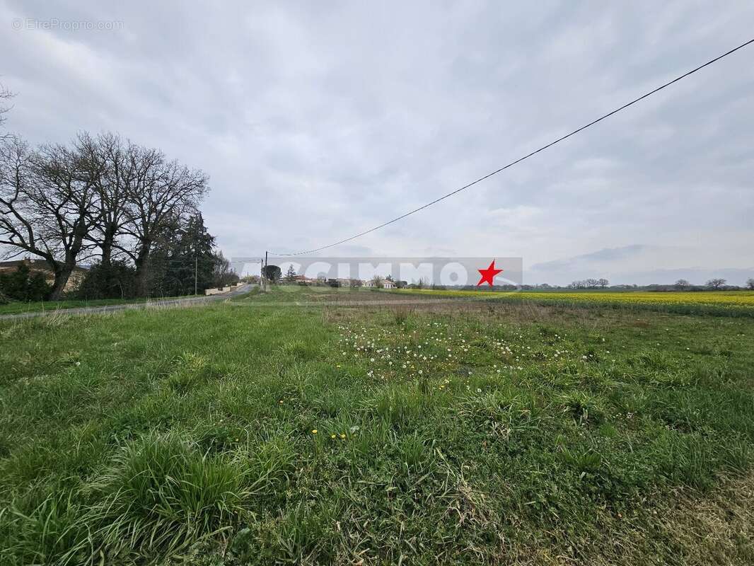 Terrain à MONTDRAGON