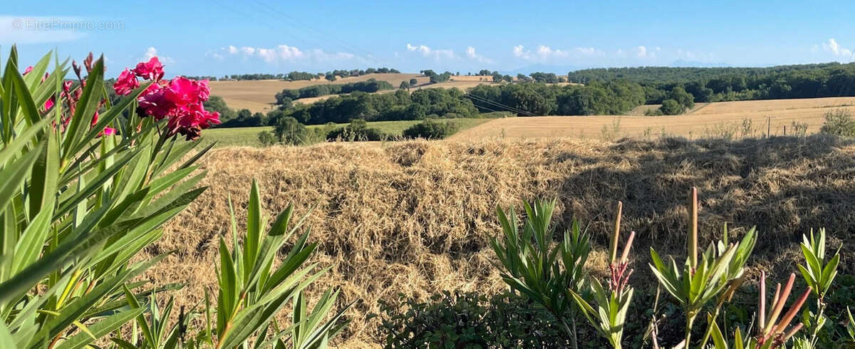 vue sud côté Pyrénées - Maison à VIC-FEZENSAC