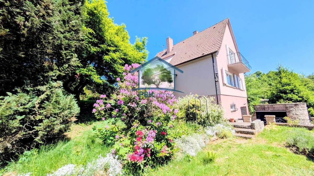Maison à LA PETITE-PIERRE
