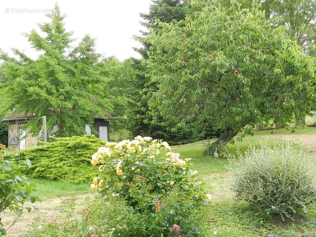 Maison à SAINT-PIERRE-SUR-DIVES