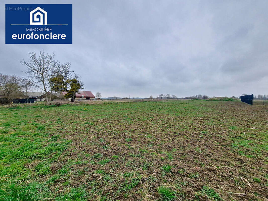 Terrain à LES BORDES-AUMONT