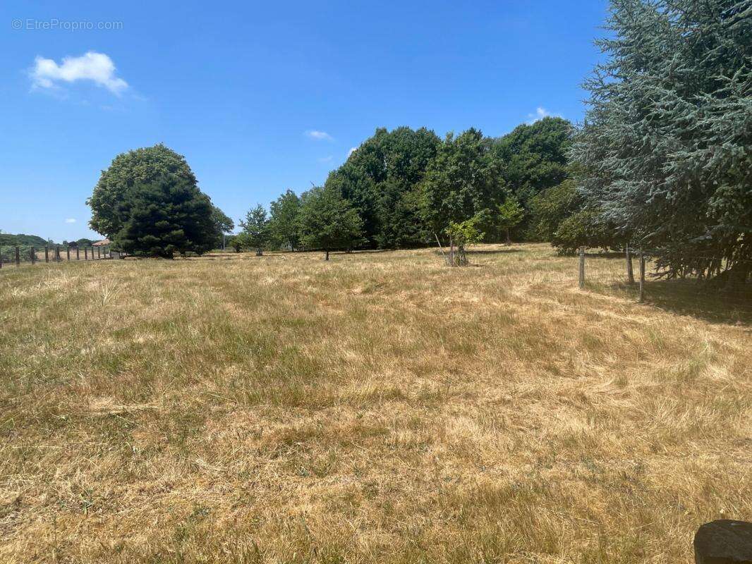 Maison individuelle 4 chambres avec bassin d'agrément et 1 hectare de terrain - photo 33