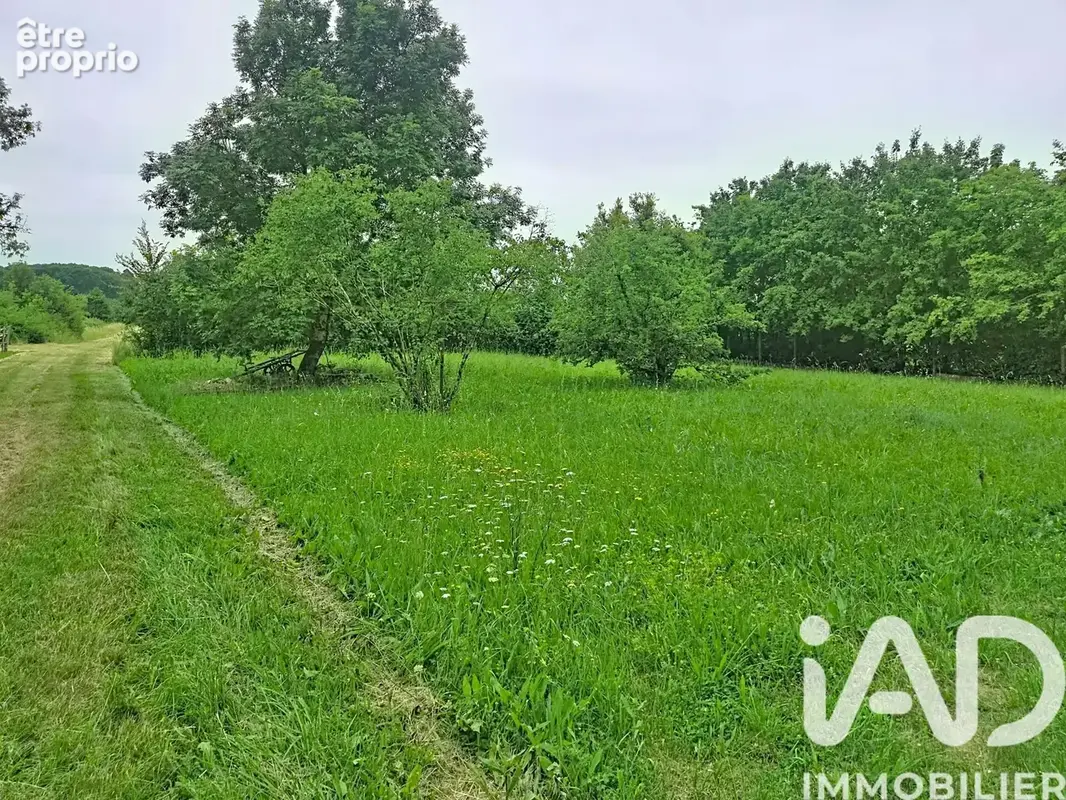 Photo 1 - Terrain à SAINT-MARTIN-DU-BOIS