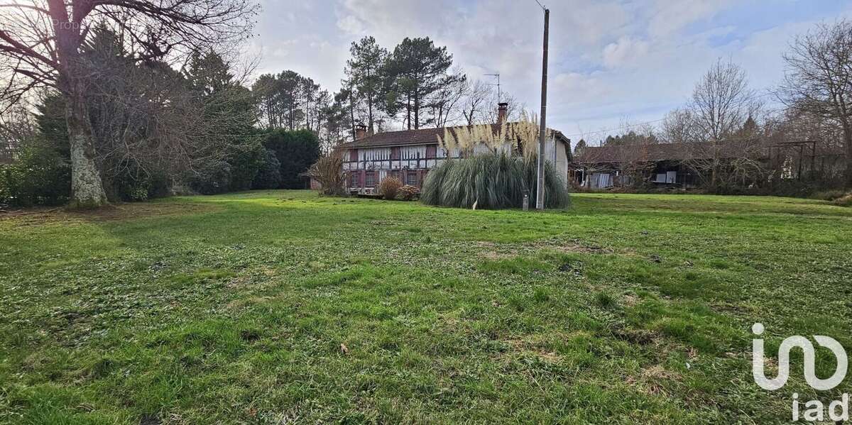 Photo 7 - Maison à PARENTIS-EN-BORN