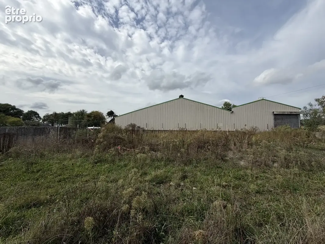 Commerce 1 200 m² à vendre à Brehan (56580) - photo 6