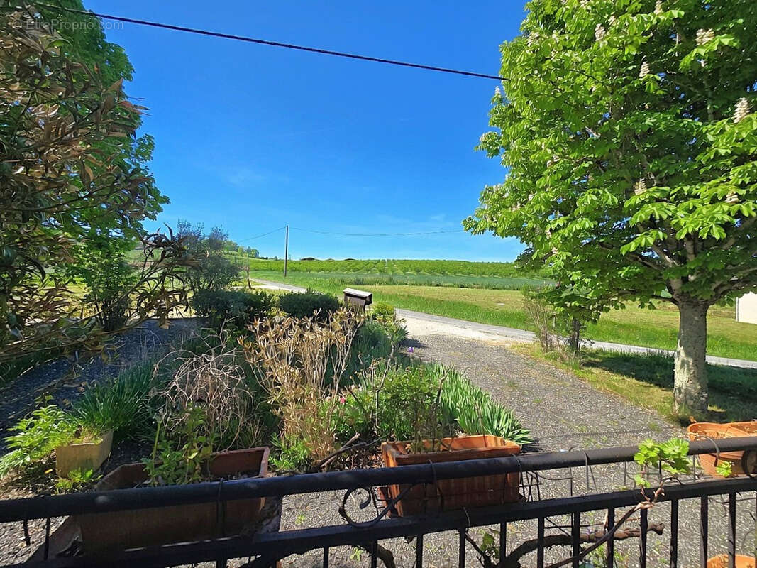 Propriété de 3 hectares avec situation calme et dégagée - photo 7