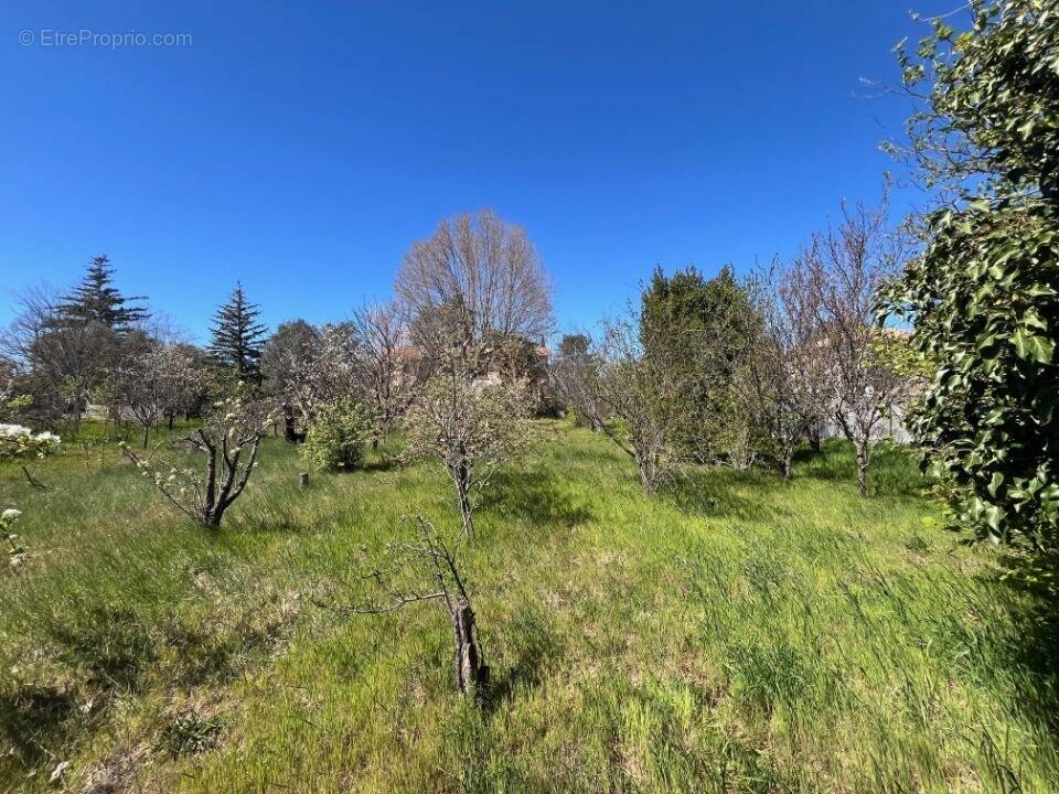Terrain à MANOSQUE