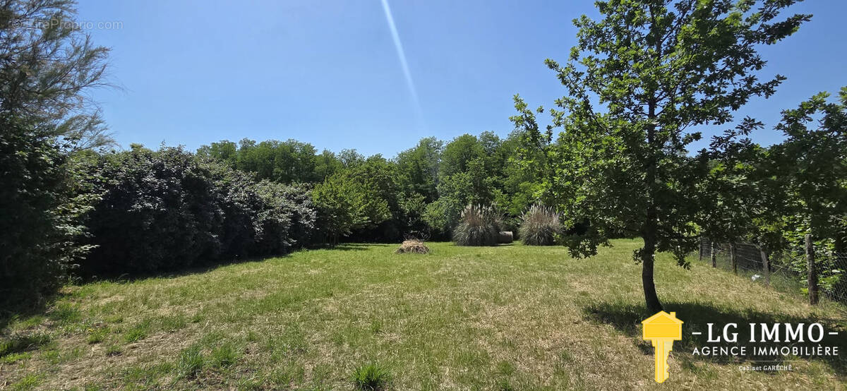 Terrain à SAINT-THOMAS-DE-CONAC