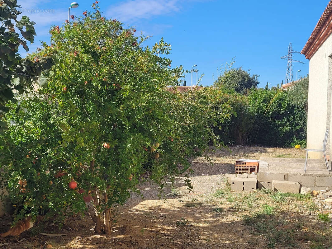 Maison à LEZIGNAN-CORBIERES