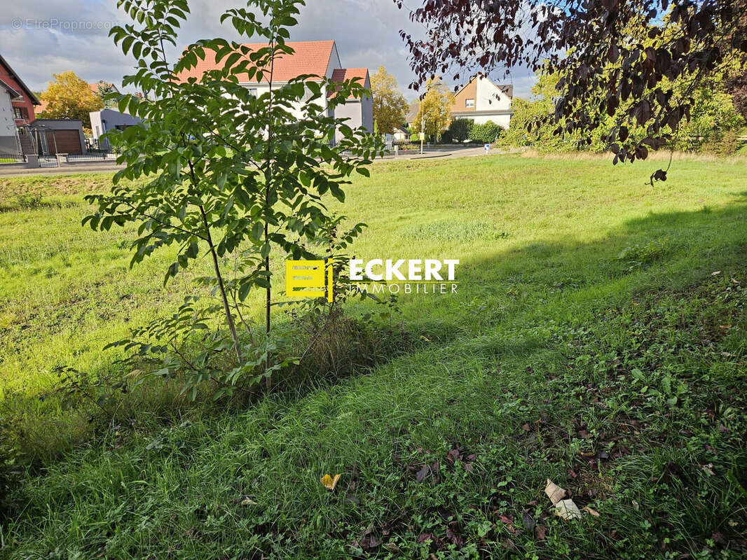 Terrain à MOLSHEIM