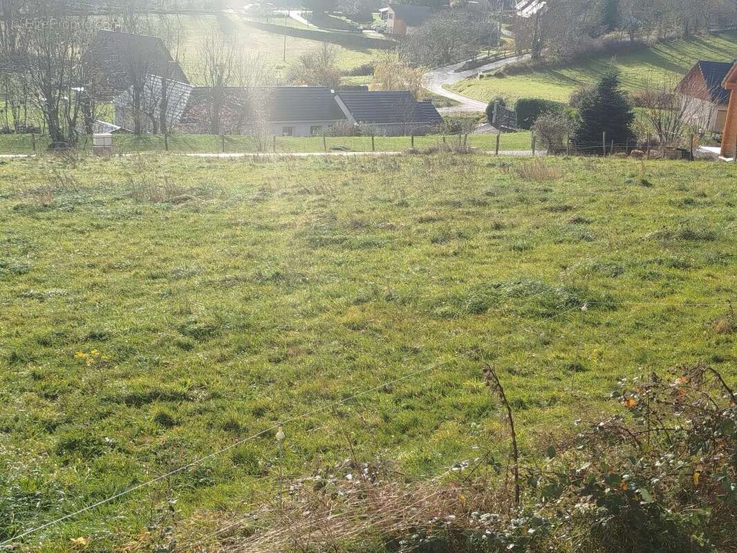 Terrain à BESSE-ET-SAINT-ANASTAISE