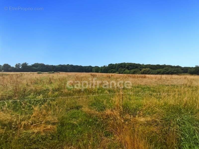 Maison à SAINT-GERMAIN-DU-PLAIN
