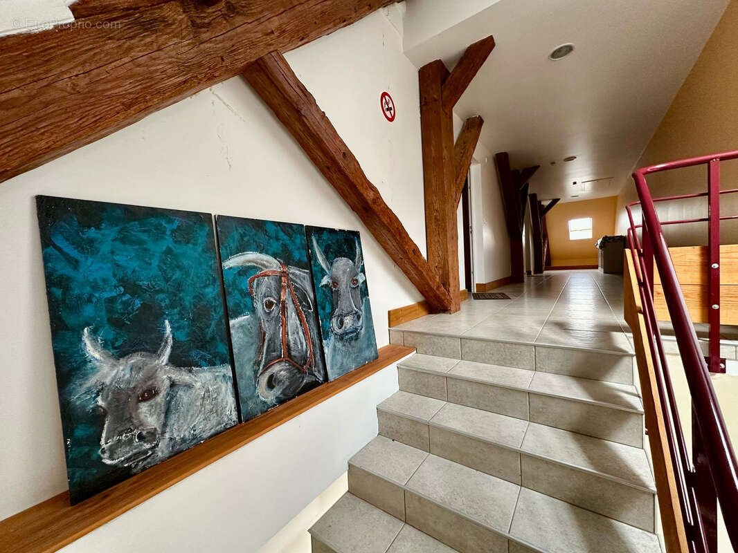 Commerce à SOULCE-CERNAY