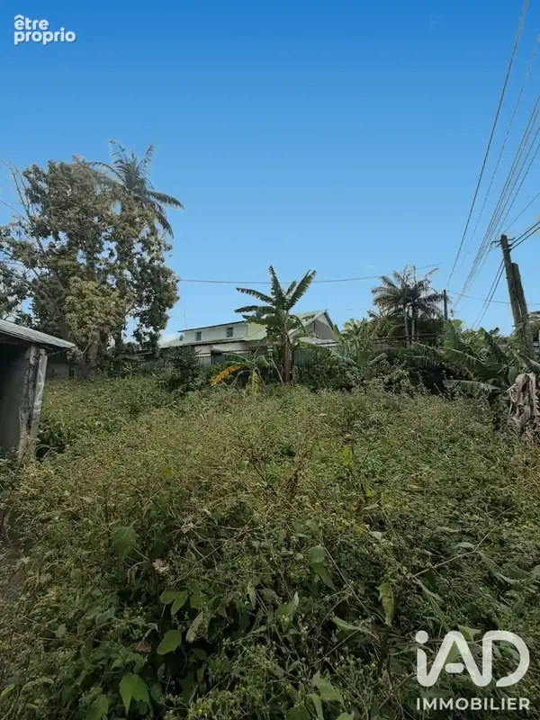 Photo 1 - Terrain à SAINT-PIERRE