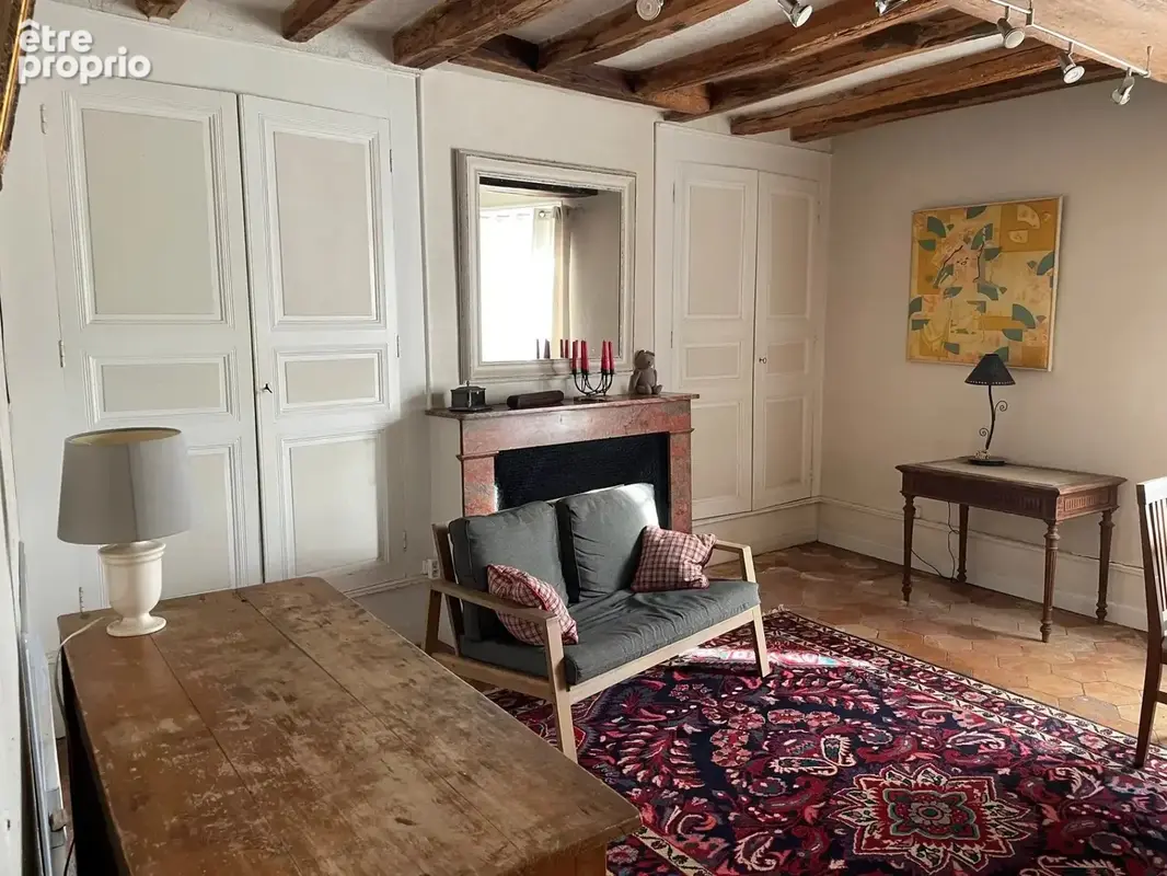 Bellevigne les chateaux - photo 9