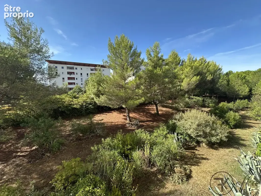 Appartement T3 parc de la Lironde - photo 13