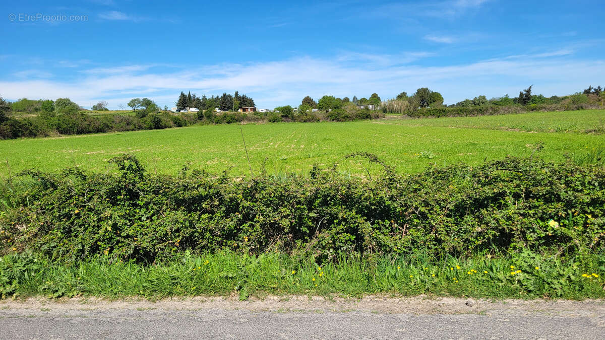 Terrain à PIGNAN